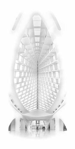 calatrava MAM art museum