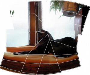 Multi‑Row Panography | Building Depth Through Layers