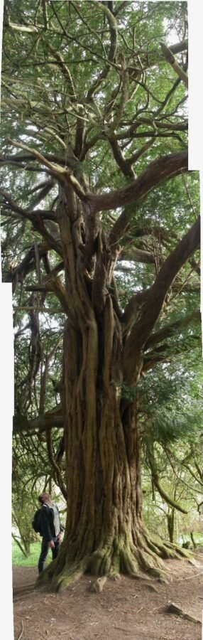 jasonjpogodzinski edi_0861_4p2